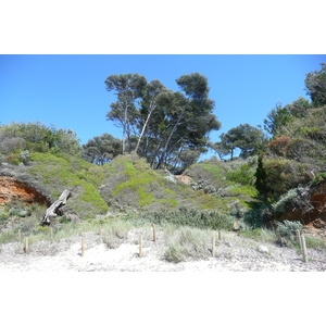 Photo France Ile de Porquerolles Plage du Lequin 2008-05 6