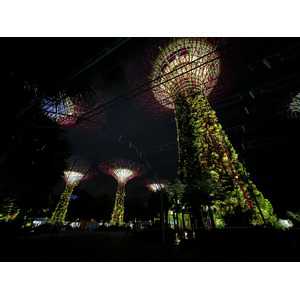 Photo Singapour Garden by the bay 2023-01 47