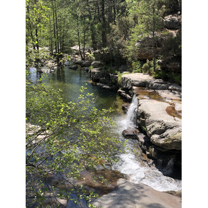 Photo France Corse Forêt d'Aïtone 2021-06 24