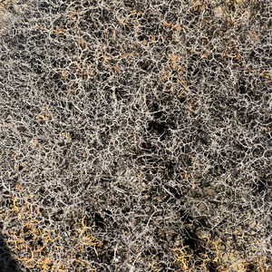 Photo Grèce Astypalea 2018-07 62