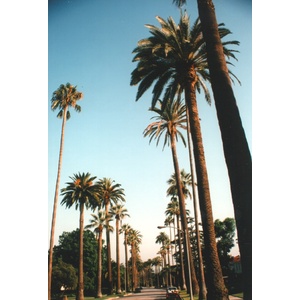 Photo États-Unis Beverly Hills 1992-08 16