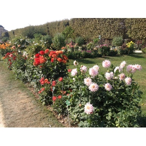 Photo France Paris Jardin des Plantes 2014-09 4