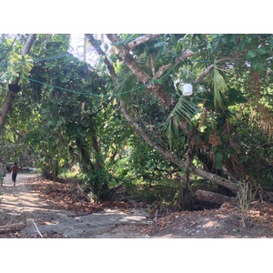 Photo Costa Rica Parc Manuel Antonio 2015-03 358