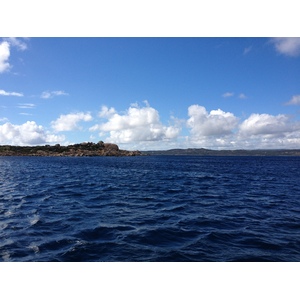 Photo France Corse Cavallo 2012-09 97
