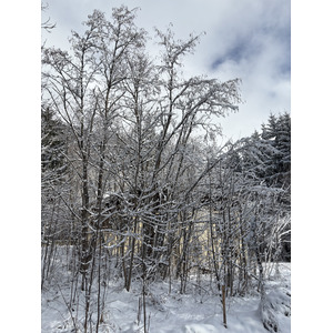Photo France Praz sur Arly 2025-02 12