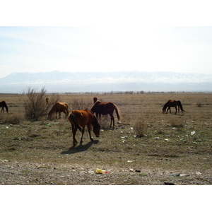 Photo Kazakhstan Route d'Almaty au canyon de Charyn 2007-03 120