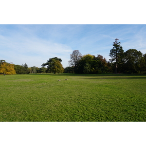 Photo France Paris Bagatelles 2016-10 26