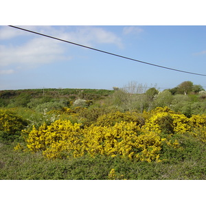Photo Irlande Kerry Lac Caragh 2004-05 27