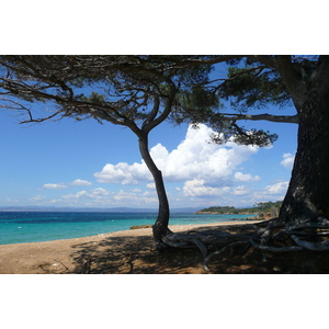 Photo France Ile de Porquerolles Plage de la Courtade 2008-05 1