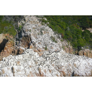 Photo Afrique du Sud Les Heads de Knysna 2008-09 8