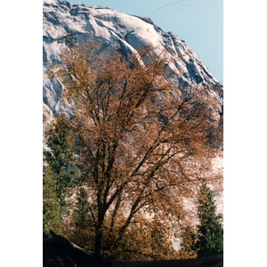 Photo États-Unis Parc National de Yosemite 1992-08 8