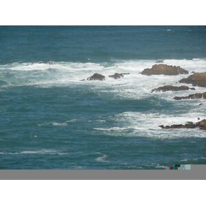 Photo Afrique du Sud Les Heads de Knysna 2008-09 13