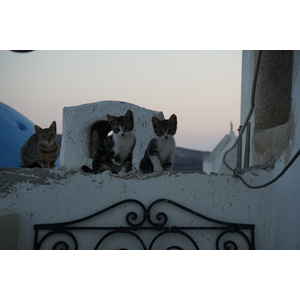 Photo Grèce Santorin Oia cave house 2016-07 19