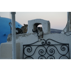 Photo Grèce Santorin Oia cave house 2016-07 21