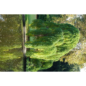 Photo France Paris Bagatelles 2016-10 38