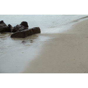 Photo Seychelles Anse Possession 2011-10 53