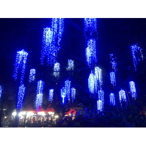 Photo Thaïlande Chiang Mai Parc public de Nong Buak Haad 2024-01 36