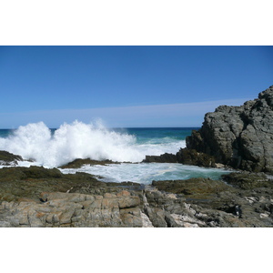 Photo Afrique du Sud Parc National Tsitsikamma 2008-09 411