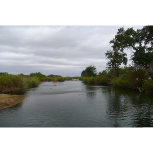 Photo Afrique du Sud Parc National Kruger Rivière Sable 2008-09 28