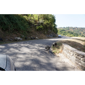 Photo France Corse Loreto-di-Casinca 2017-09 29