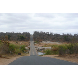 Photo Afrique du Sud Parc National Kruger Rivière Sable 2008-09 9