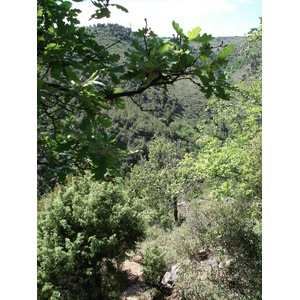 Photo France Vence Baou 2006-06 33