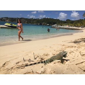 Photo Guadeloupe Plage de la Caravelle 2021-02 96