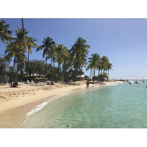 Photo Guadeloupe Plage de la Caravelle 2021-02 86