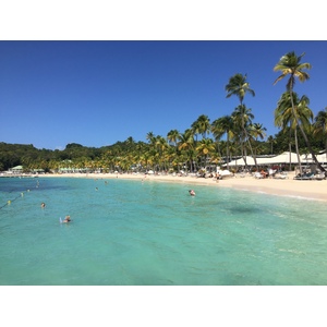 Photo Guadeloupe Plage de la Caravelle 2021-02 55
