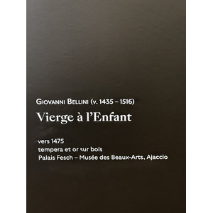 Photo France Paris Musée Jacquemart André 2023-04 135
