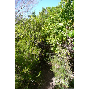 Photo Afrique du Sud Les Heads de Knysna 2008-09 34
