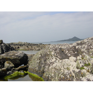 Photo Irlande Kerry Parknasilla 2004-05 48
