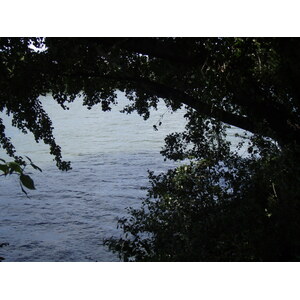 Photo France Colombes L'ile Marrante 2007-07 23