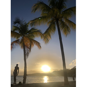 Photo Guadeloupe Plage de la Caravelle 2021-02 91