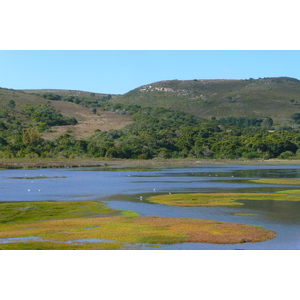 Photo Afrique du Sud Les Heads de Knysna 2008-09 39