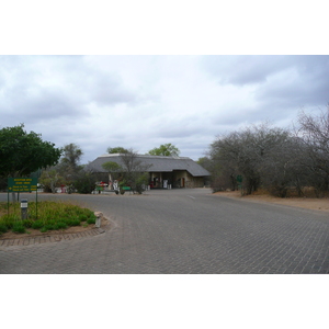 Photo Afrique du Sud Parc National Kruger 2008-09 195