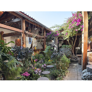 Photo Chine Lijiang 2026-01 300