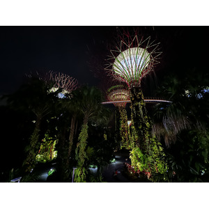 Photo Singapour Garden by the bay 2023-01 37