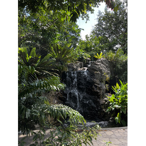 Photo Singapour Jardins botaniques de Singapore 2023-01 59