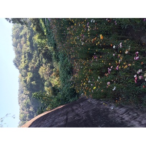 Photo Thaïlande Parc National Phu Hin Rong Kla 2014-12 92