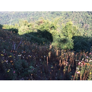 Photo Thaïlande Parc National Phu Hin Rong Kla 2014-12 407