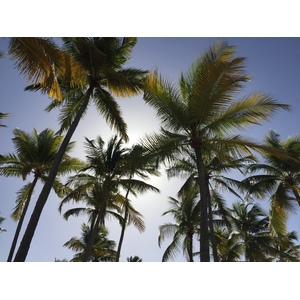 Photo Guadeloupe Plage de la Caravelle 2021-02 72
