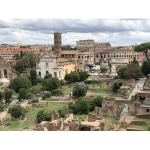 Photo Italie Rome Forum Romain 2024-09 158