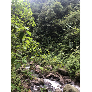Photo Guadeloupe Chute du Carbet 2021-02 21