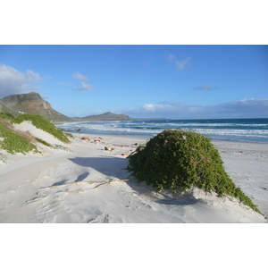 Photo Afrique du Sud Cap de Bonne Espérance 2008-09 31
