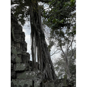 Photo Cambodge Siem Reap Ta Prohm 2023-01 138