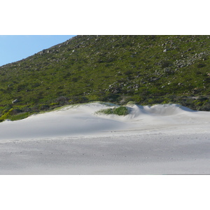 Photo Afrique du Sud Cap de Bonne Espérance 2008-09 17