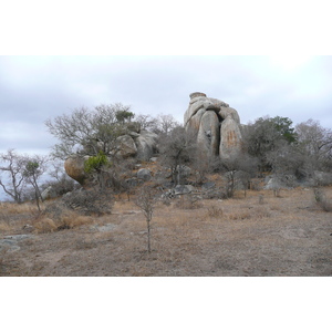 Photo Afrique du Sud Parc National Kruger 2008-09 183