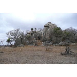 Photo Afrique du Sud Parc National Kruger 2008-09 20