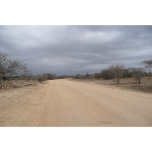 Photo Afrique du Sud Parc National Kruger 2008-09 15